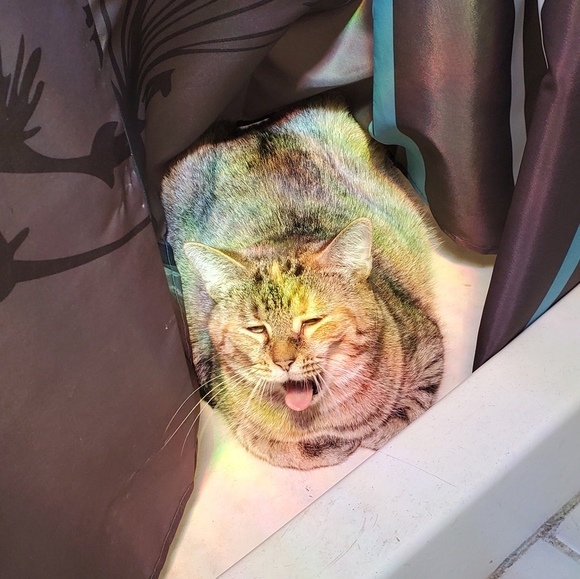 Intention jars - Picture 16 of 17